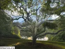 Sites similar to elizabethhummel.com
