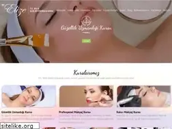 Sites similar to elizeestetisyenlikkursu.com.tr