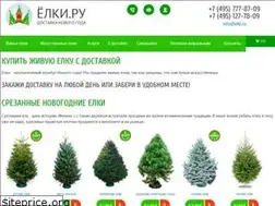 Sites similar to elki.ru
