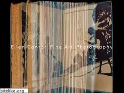 Sites similar to ellencantorphotography.com