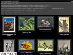 Sites similar to ellenmichaelsphotos.com