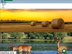 Sites similar to ellerealestate.com