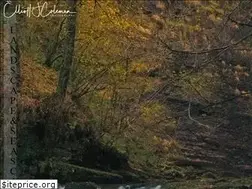 Sites similar to elliottcolemanphoto.com