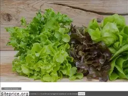 Sites similar to elmandilnegro.es