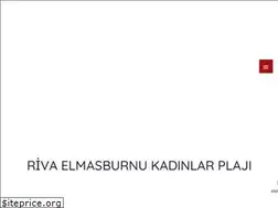 Sites similar to elmasburnukadinplaji.com