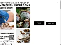 Sites similar to elmcitywellness.com