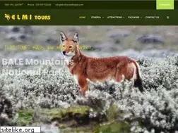 Sites similar to elmitourethiopia.com