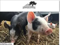 Sites similar to elmpork.com
