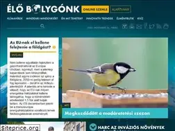 Sites similar to elobolygonk.hu
