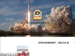 Sites similar to elonmonkey.com
