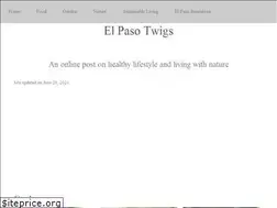 Sites similar to elpasotwigs.com