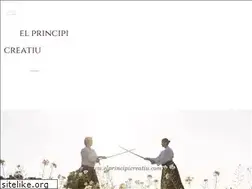 Sites similar to elprincipicreatiu.com