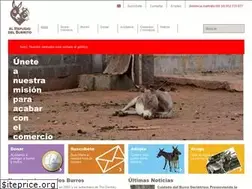 Sites similar to elrefugiodelburrito.com