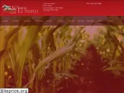 Sites similar to elsurco.com.sv