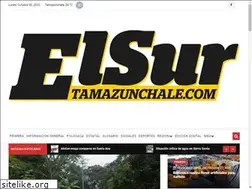 Sites similar to elsurtamazunchale.com