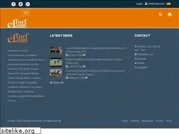 Sites similar to elturf.com