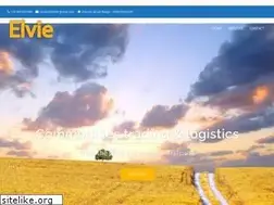 Sites similar to elvie-group.com