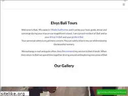 Sites similar to elvysbalitours.com