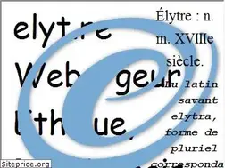 Sites similar to elyt.re