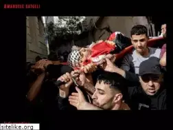 Sites similar to emanuelesatolli.com