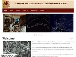 Sites similar to emccs.org