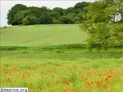 Sites similar to emdrdublin.com