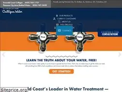 Sites similar to emeraldcoastculligan.com