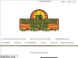 Sites similar to emeraldrosegrows.com