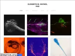 Sites similar to emhaynes.com