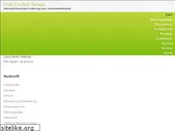 Sites similar to emilfischerschule.de
