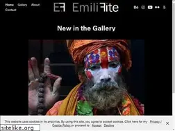Sites similar to emilifite.com