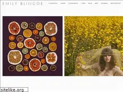 Sites similar to emilyblincoe.com