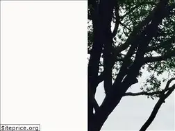 Sites similar to emilystroud.net