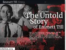 Sites similar to emmetttillstory.com