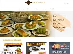 Sites similar to emmoglu.com.tr