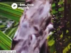 Sites similar to emotive-muzik.net
