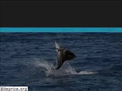 Sites similar to empirefishingcharters.com