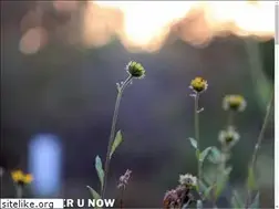 Sites similar to empowerunow.com