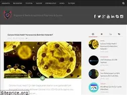 Sites similar to emrealtun.org