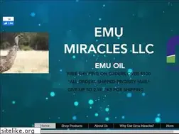 Sites similar to emumiracle.com