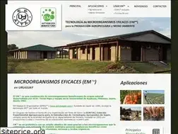 Sites similar to emuruguay.org