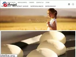 Sites similar to en.angelyeast.com