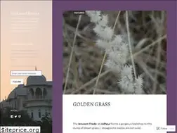 Sites similar to enchantedforests.wordpress.com