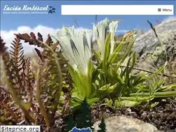 Sites similar to enciankerteszet.hu