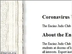 Sites similar to encinojudo.com