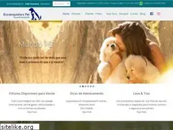 Sites similar to encrenquinhas.com.br