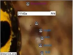 Sites similar to encycolorpedia.com.tr