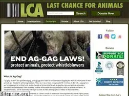 Sites similar to endaggaglaws.com