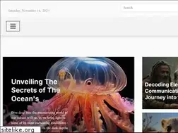 Sites similar to endeavorwhippets.com