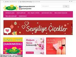Sites similar to endercicek.com